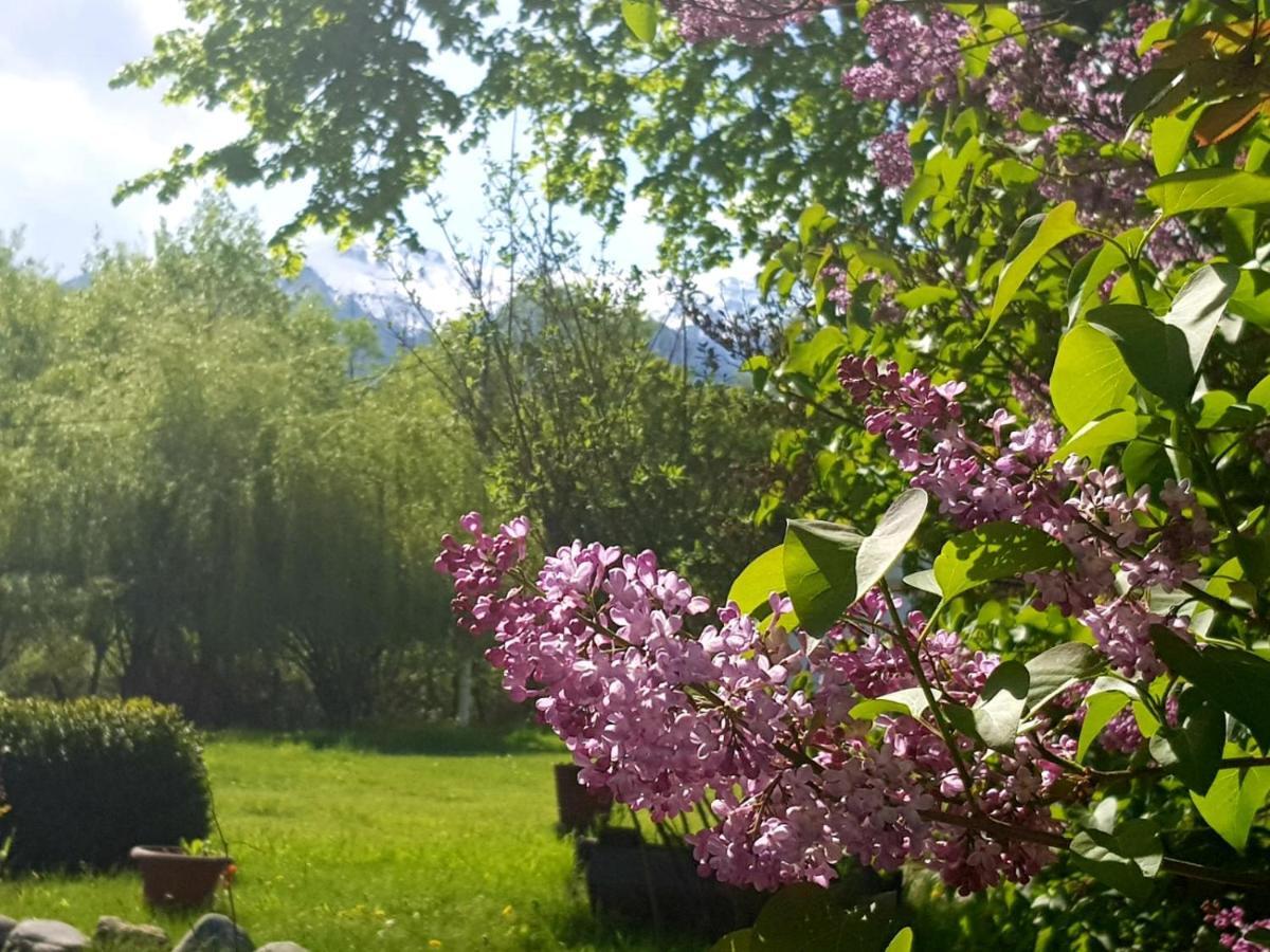 Briza De Munte Otel Bran  Dış mekan fotoğraf